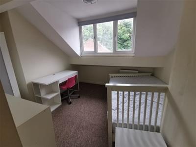 Picture 7